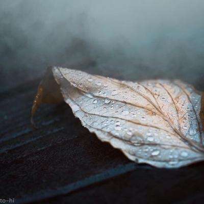 草莓时钟竞速赛